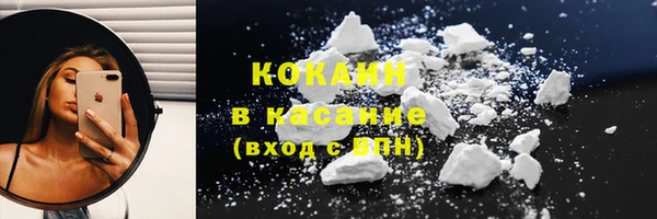 гидра Бронницы