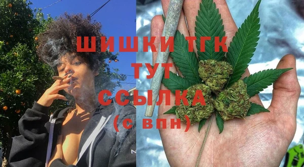 соль курить ск Бородино