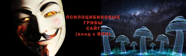 соль курить ск Бородино