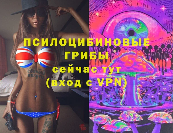 соль курить ск Бородино
