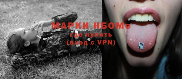 гидра Бронницы