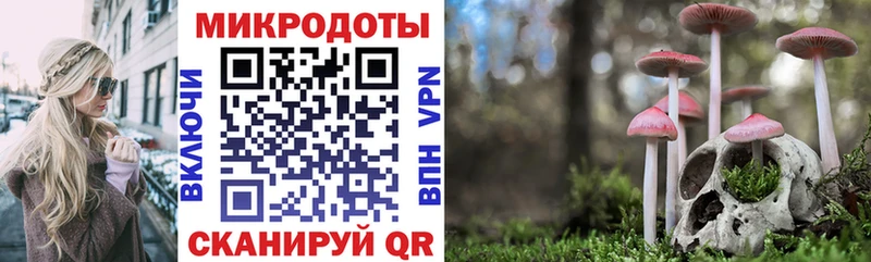 Псилоцибиновые грибы прущие грибы  Купить закладки  Лиски 